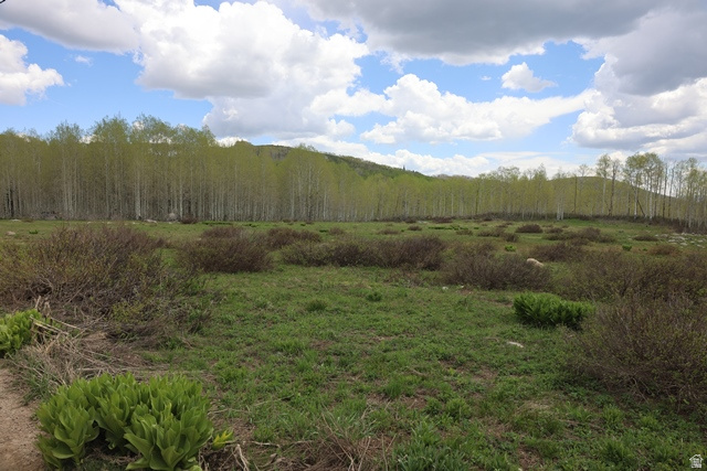 BRIGHTON ESTATES - Land