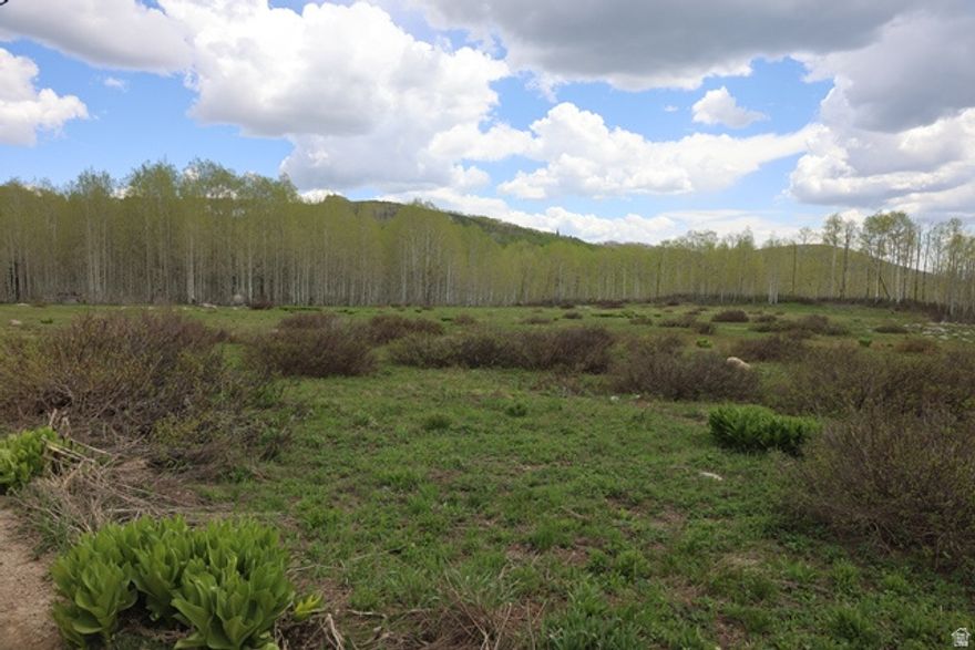 Enjoy the tranquil beauty of this partially wooded lot in Midway, Utah, Brighton Estates Subdivision 1, (with no HOA / no CCRs) offering one of the most spectacular and peaceful mountain settings available in the greater Park City area. Explore nearby trails, stunning views, and the lack of light pollution.  The lot is flat and is partly cleared.  Tucked in the hills of Midway, just below Guardsman Pass, minutes away from Wasatch Mountain State Park, WOW Trail, Bonanza Flat, Brighton Resort, Deer Valley, and Park City. Ideal as recreational use for the outdoor enthusiast with biking, hiking, snowmobiling, backcountry skiing, and more just out your front door.  Although seasonal, as roads are not plowed, it can be accessed year round by snowmobiles.  Property is SEASONAL as driving access through Guardsman Pass, (from Big Cottonwood Canyon) & Pine Canyon Rd, (from Park City and Midway) is closed fall to spring.  Property has no water nor septic.  No perc test has been done.  MUST HAVE WATER TO BUILD.  Adjacent lot 41 is also for sale.  See attached plat map.  The road is Larkspur but the map incorrectly reflects Lakespur.  All information herein is deemed reliable but not guaranteed. Buyer is responsible for verifying all listing information.