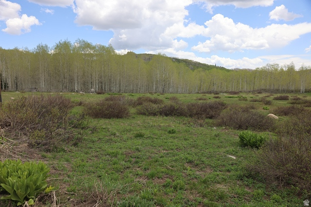 BRIGHTON ESTATES - Land