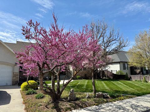 Tiny photo for 1884 TOWN AND COUNTRY RD, Springville, UT 84663 (MLS # 2126204)