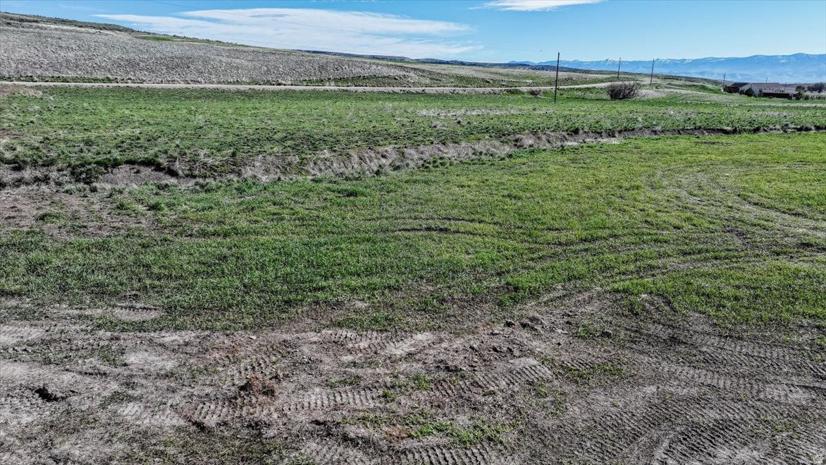 SCHVANEVELDT MINOR PARTITION - Land