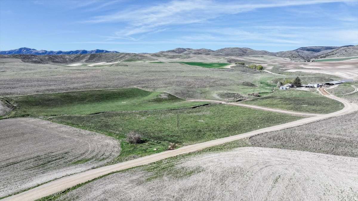 SCHVANEVELDT MINOR PARTITION - Land