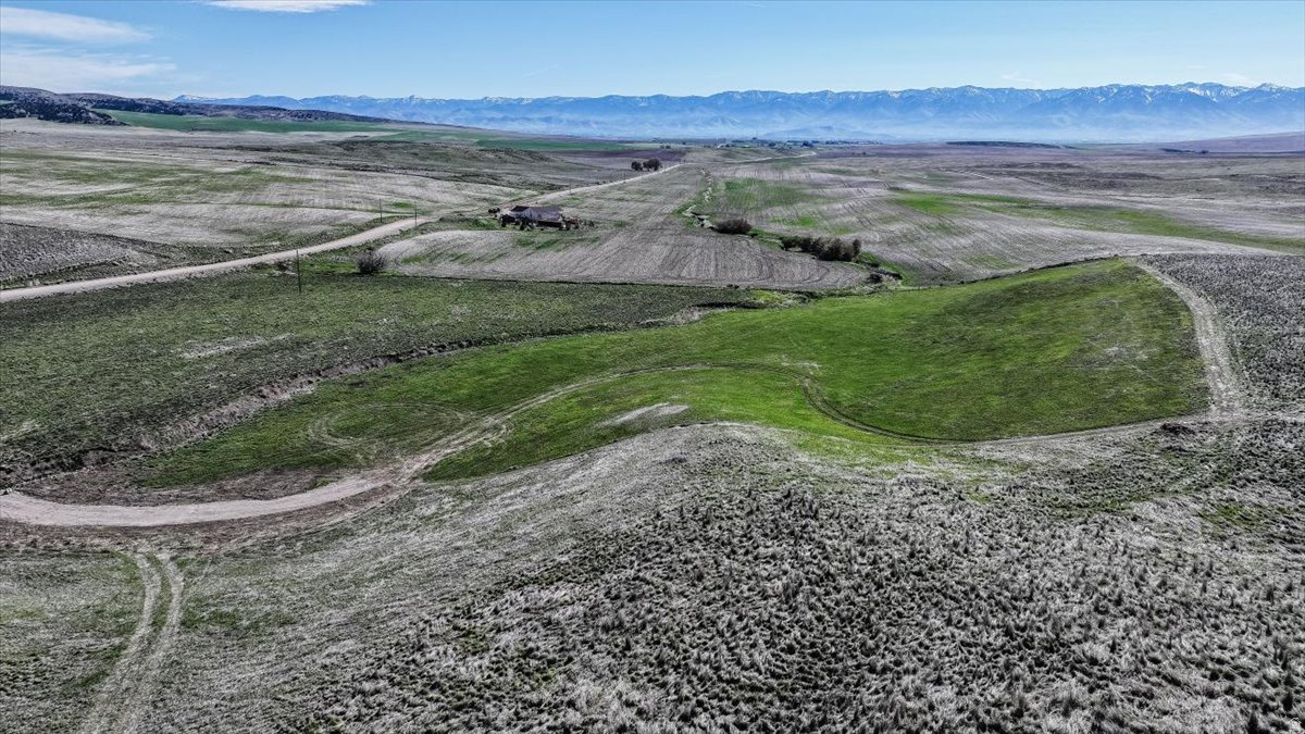 SCHVANEVELDT MINOR PARTITION - Land