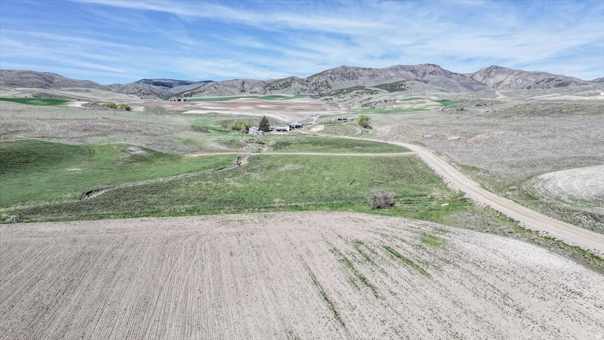 SCHVANEVELDT MINOR PARTITION - Land