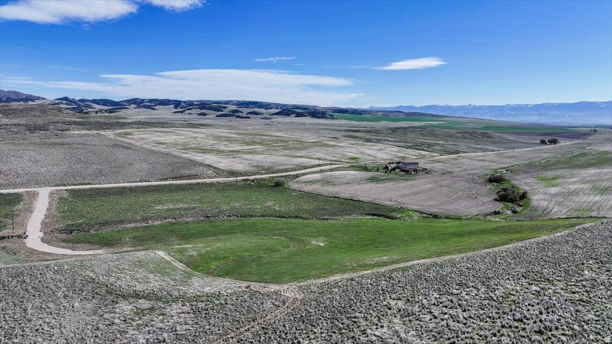 SCHVANEVELDT MINOR PARTITION - Land