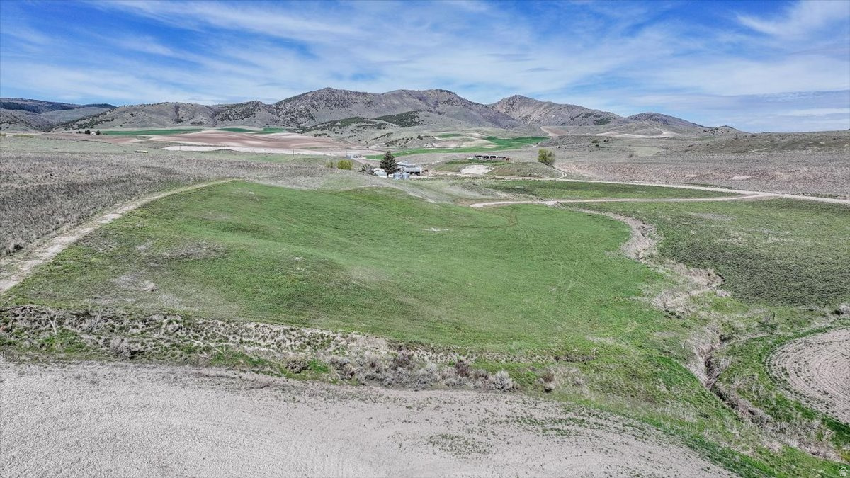 SCHVANEVELDT MINOR PARTITION - Land