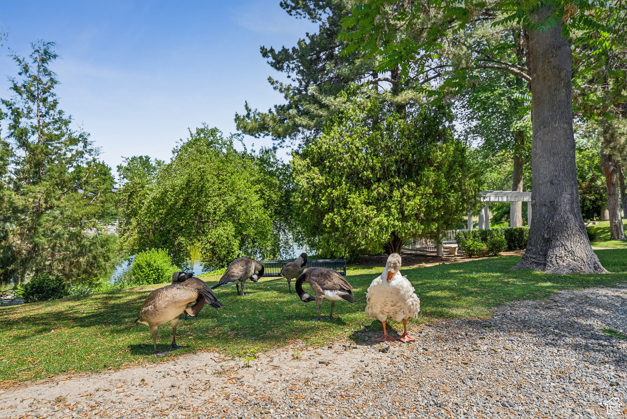 LEXINGTON VILLAGE AT OLD FARM - Residential