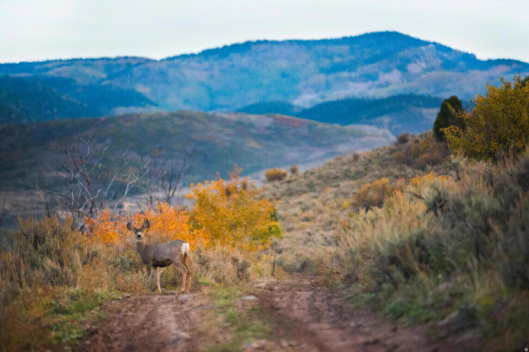 VICTORY RANCH - Residential