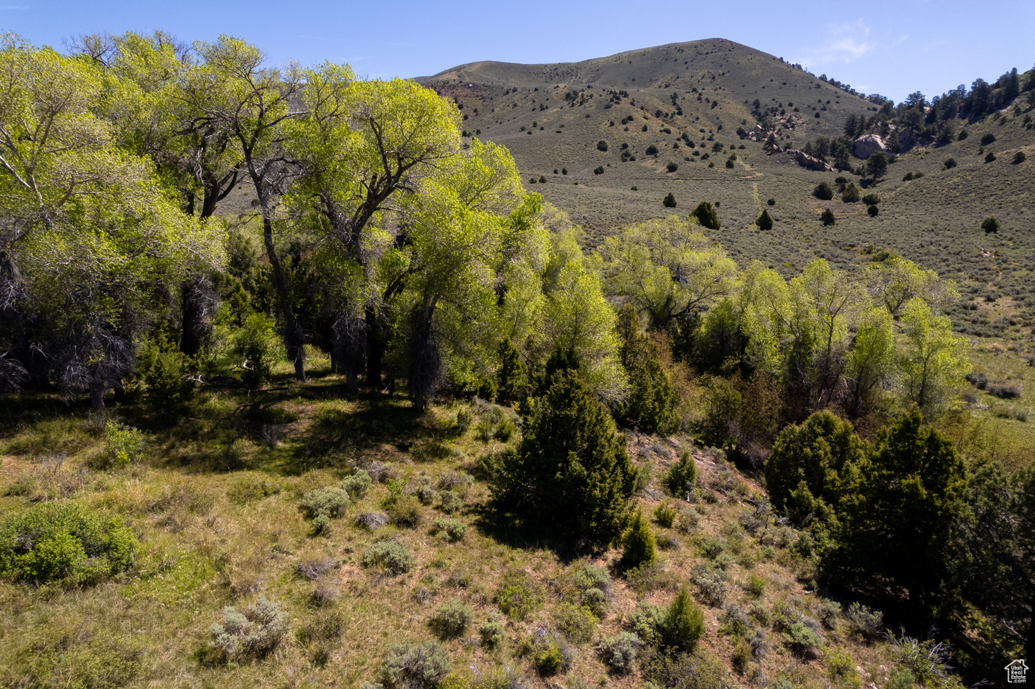 18500 N Paradise Park Rd #2, Lapoint, Utah image 7