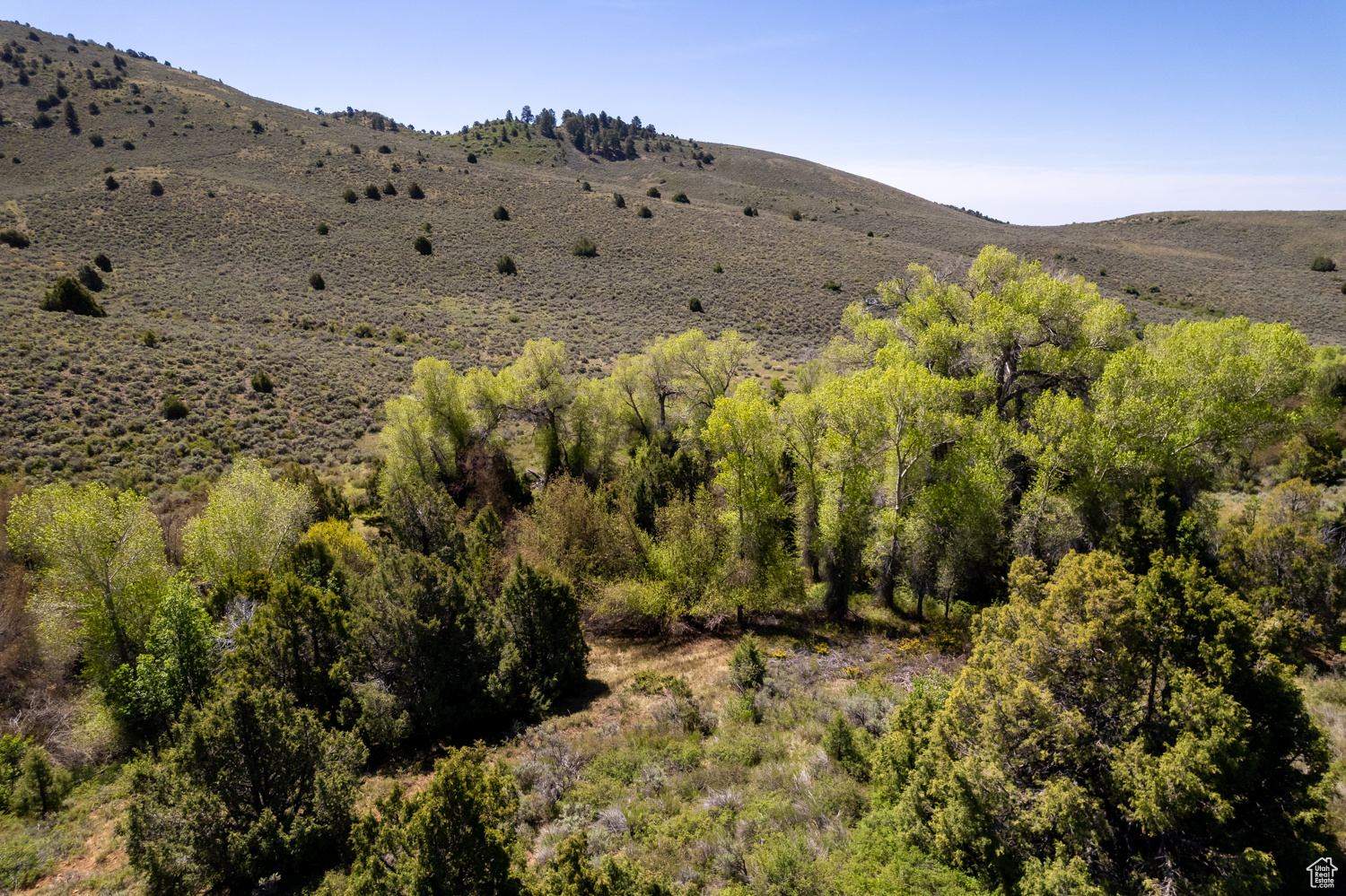 18500 N Paradise Park Rd #2, Lapoint, Utah image 6