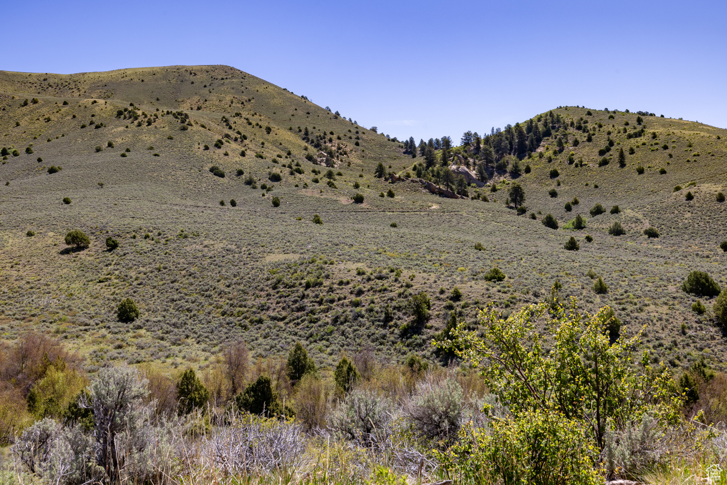 18500 N Paradise Park Rd #2, Lapoint, Utah image 10