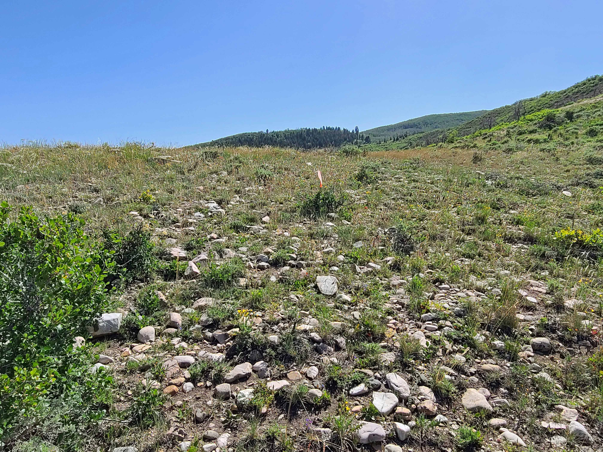 ELK RIDGE - Land