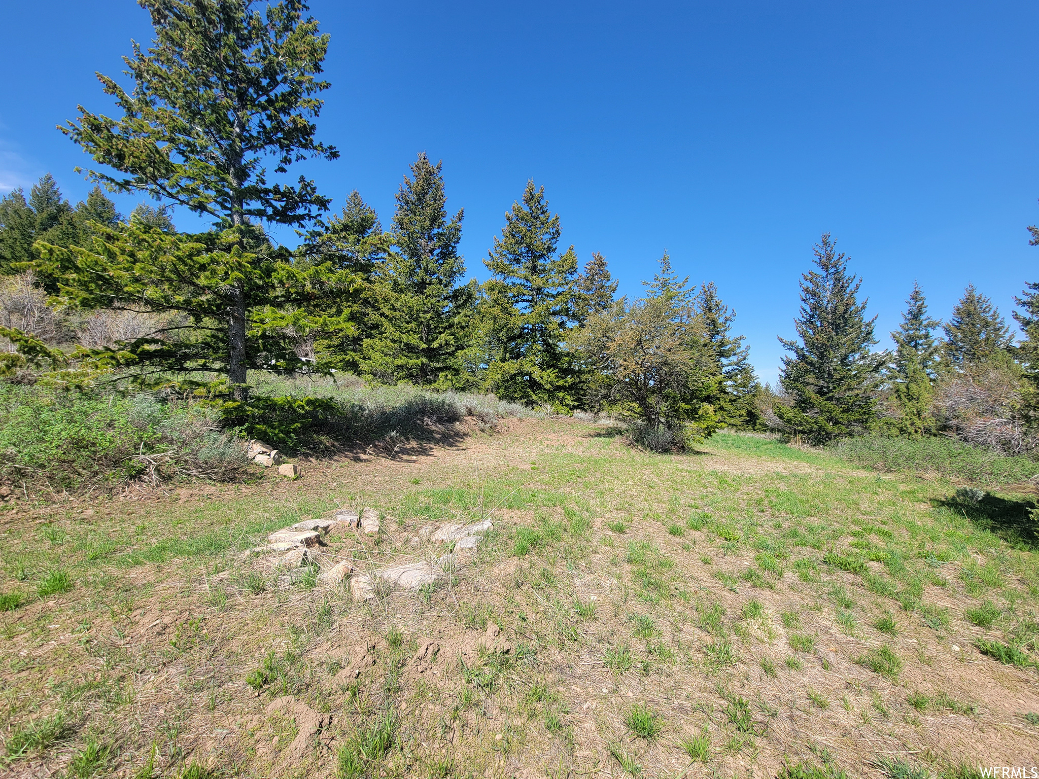 Bare Ground, Bancroft, Idaho image 8