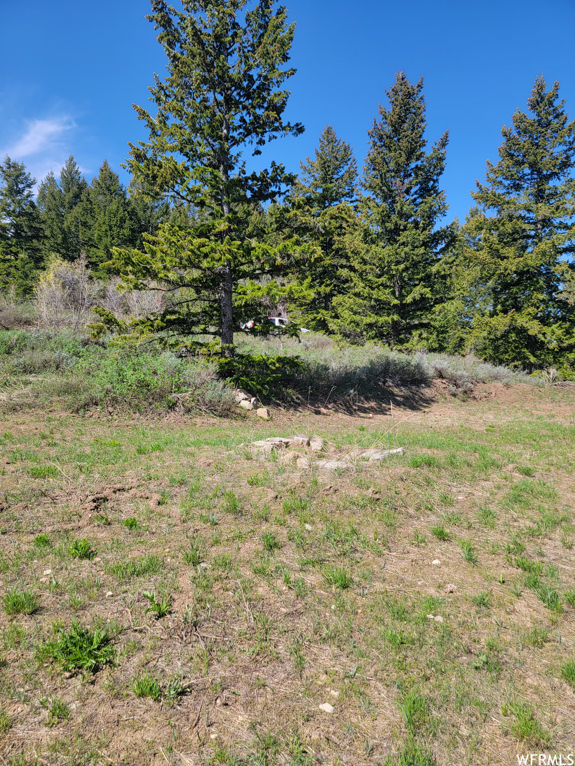 Bare Ground, Bancroft, Idaho image 5