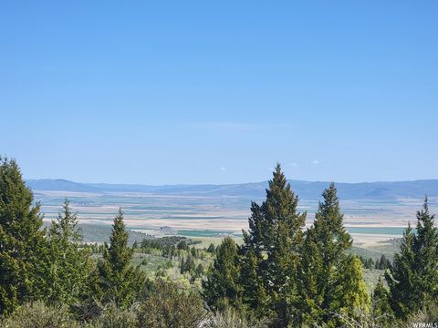 Vacant Land For Sale - Bare Ground<br/> Bancroft, ID 83217