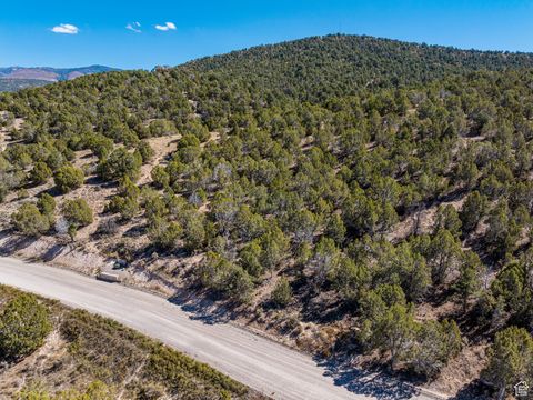 Tiny photo for #76, Indianola, UT 84629 (MLS # 2116458)