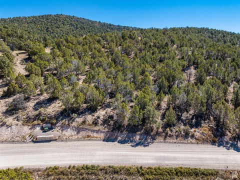 Tiny photo for #76, Indianola, UT 84629 (MLS # 2116458)