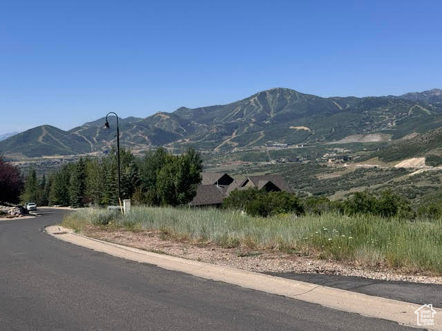 DEER MOUNTAIN - Land