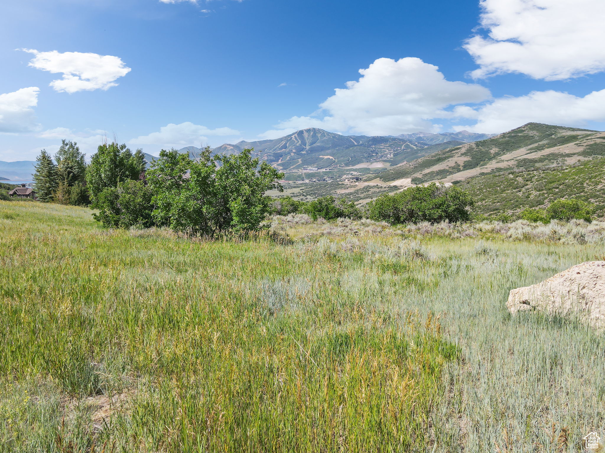 DEER MOUNTAIN - Land