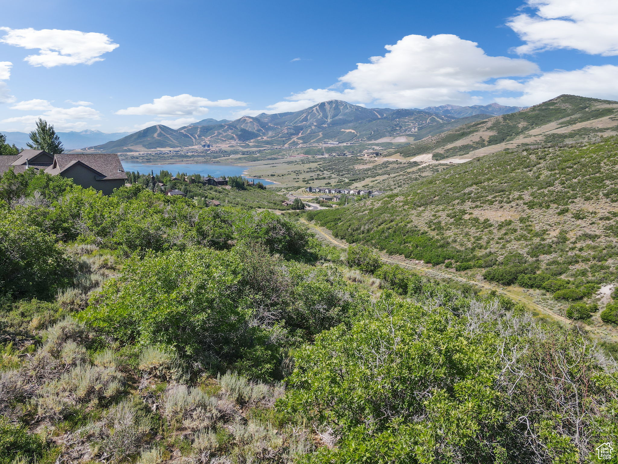 DEER MOUNTAIN - Land