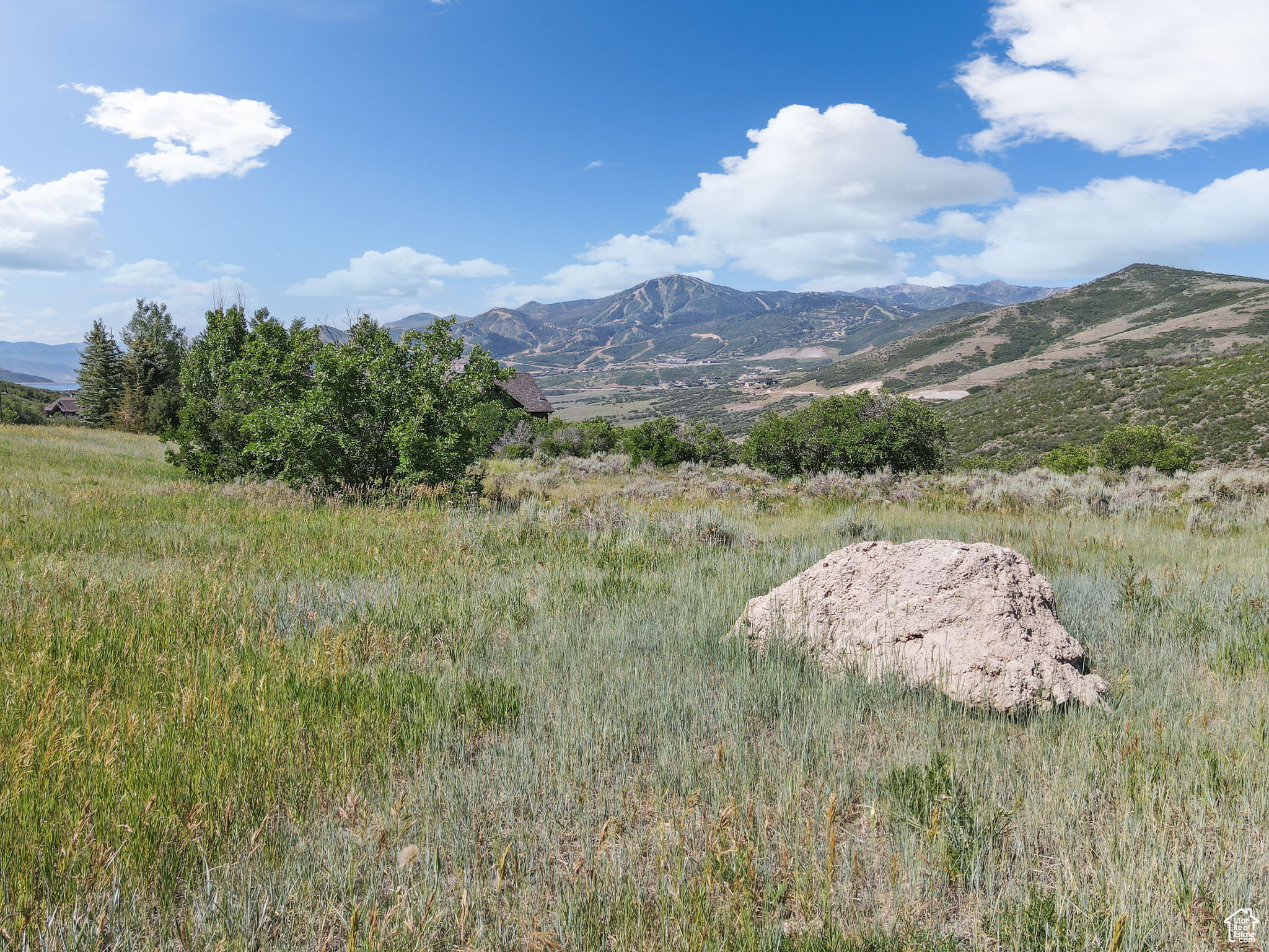 DEER MOUNTAIN - Land