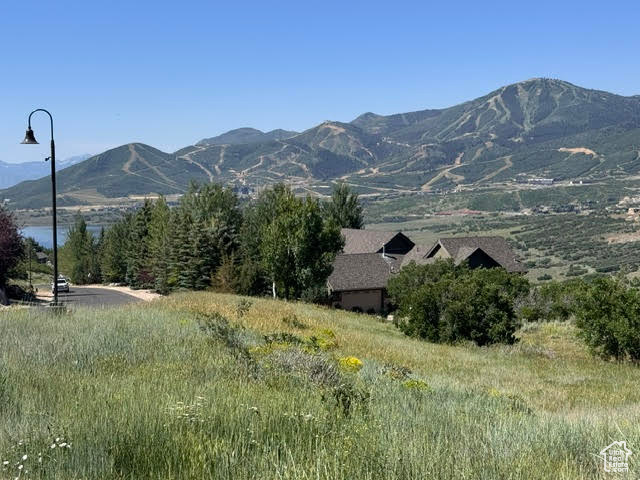 DEER MOUNTAIN - Land