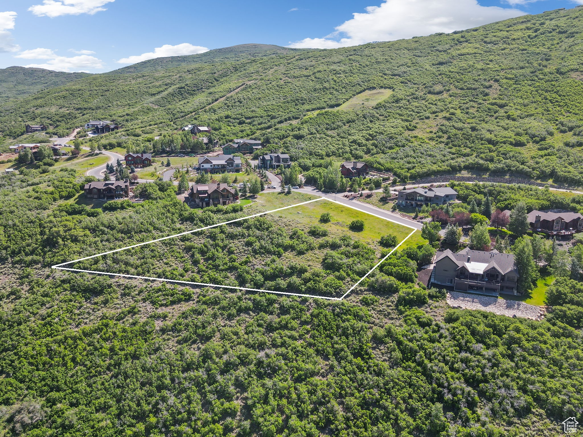 DEER MOUNTAIN - Land