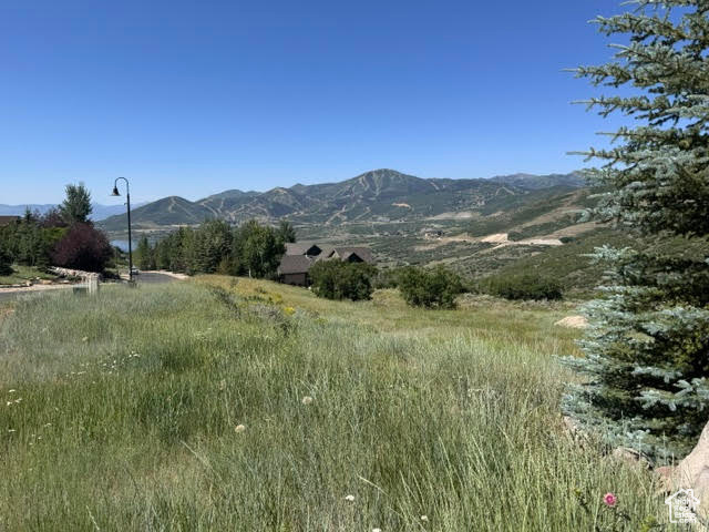 DEER MOUNTAIN - Land