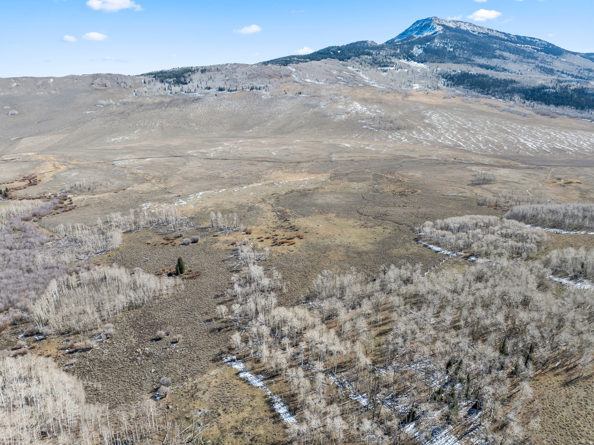 SHEEP VALLEY ESTATES SUBDIVISION - Land