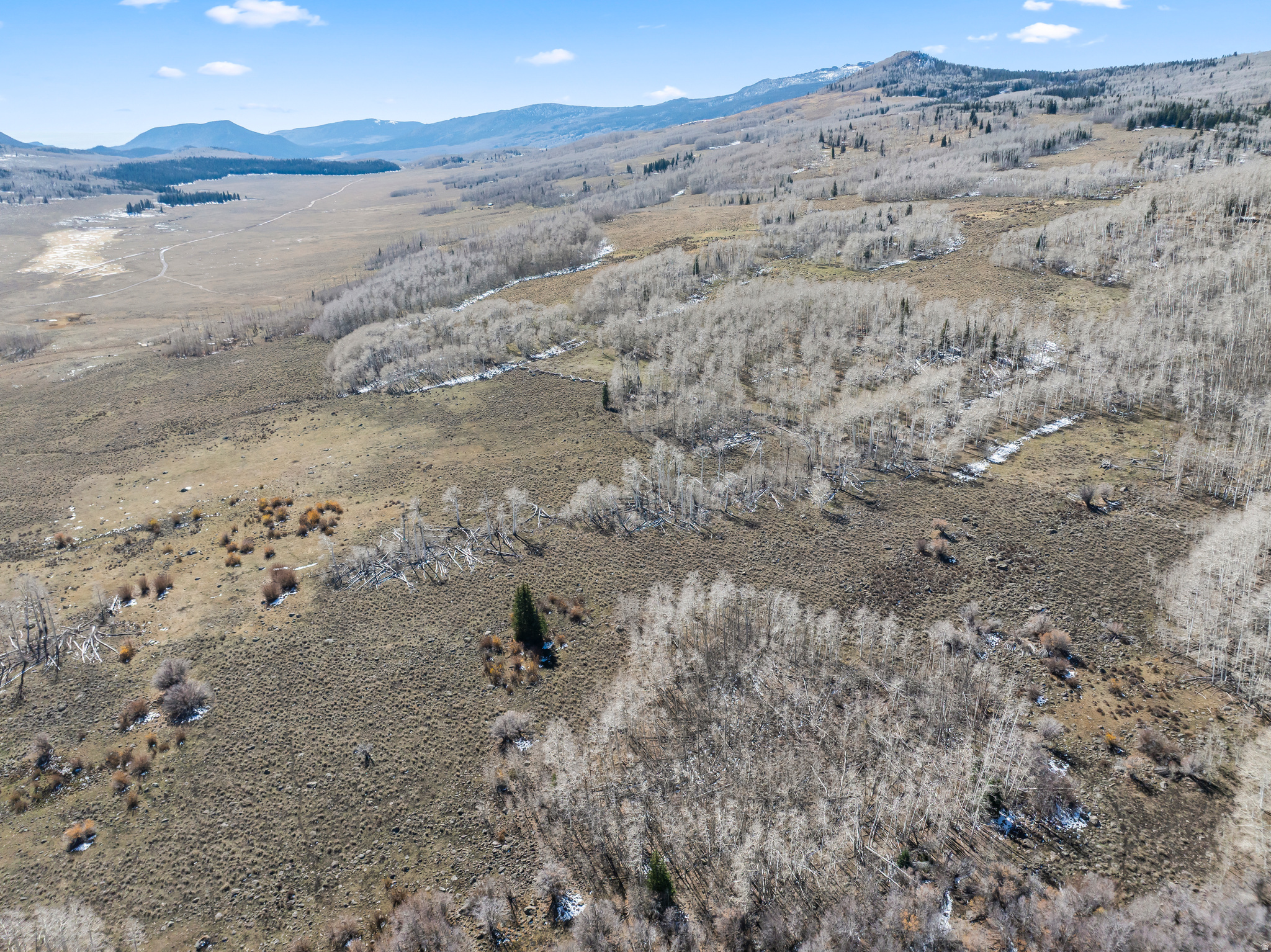 SHEEP VALLEY ESTATES SUBDIVISION - Land