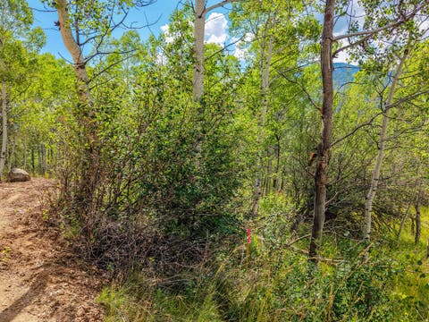 Tiny photo for 5426 E COLTER Rd #33, Oakley, UT 84055 (MLS # 2174231)