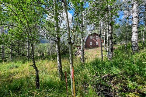 Tiny photo for 5426 E COLTER Rd #33, Oakley, UT 84055 (MLS # 2174231)