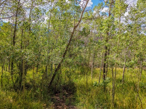 Tiny photo for 5426 E COLTER Rd #33, Oakley, UT 84055 (MLS # 2174231)
