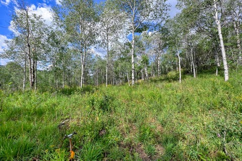 Tiny photo for 5426 E COLTER Rd #33, Oakley, UT 84055 (MLS # 2174231)