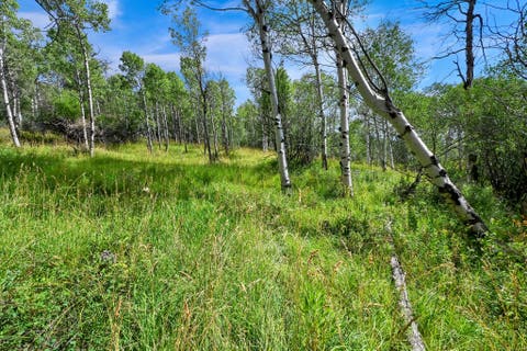 Tiny photo for 5426 E COLTER Rd #33, Oakley, UT 84055 (MLS # 2174231)