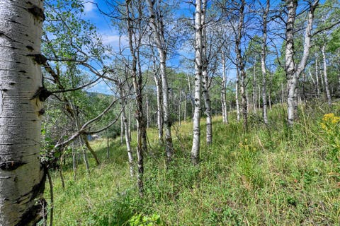 Tiny photo for 5426 E COLTER Rd #33, Oakley, UT 84055 (MLS # 2174231)
