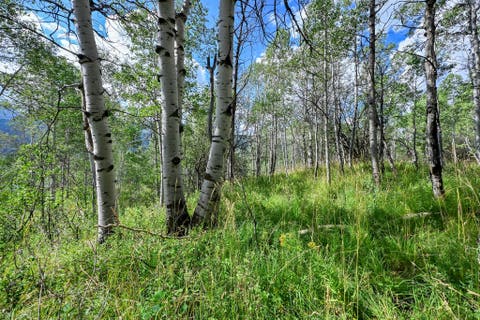Tiny photo for 5426 E COLTER Rd #33, Oakley, UT 84055 (MLS # 2174231)