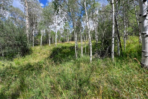 Tiny photo for 5426 E COLTER Rd #33, Oakley, UT 84055 (MLS # 2174231)