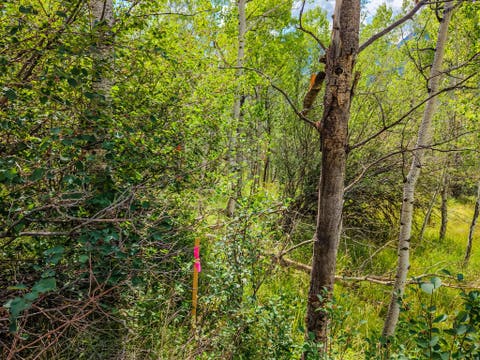 Tiny photo for 5426 E COLTER Rd #33, Oakley, UT 84055 (MLS # 2174231)
