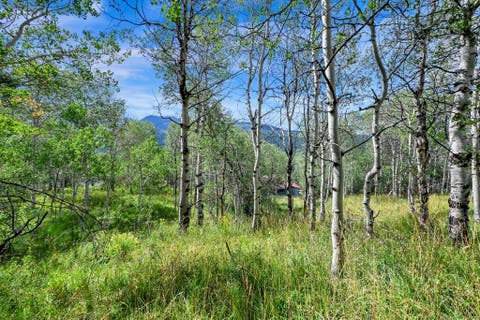 Tiny photo for 5426 E COLTER Rd #33, Oakley, UT 84055 (MLS # 2174231)