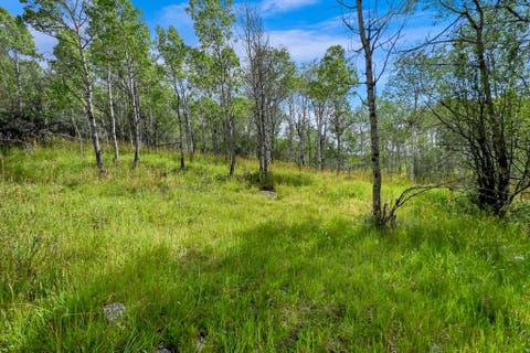 Tiny photo for 5426 E COLTER Rd #33, Oakley, UT 84055 (MLS # 2174231)