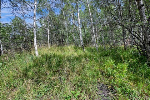 Tiny photo for 5426 E COLTER Rd #33, Oakley, UT 84055 (MLS # 2174231)