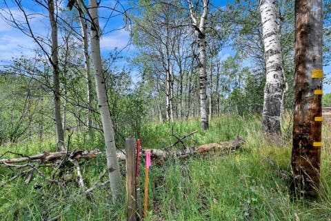 Tiny photo for 5426 E COLTER Rd #33, Oakley, UT 84055 (MLS # 2174231)
