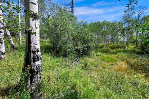 Tiny photo for 5426 E COLTER Rd #33, Oakley, UT 84055 (MLS # 2174231)