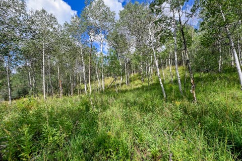 Tiny photo for 5426 E COLTER Rd #33, Oakley, UT 84055 (MLS # 2174231)