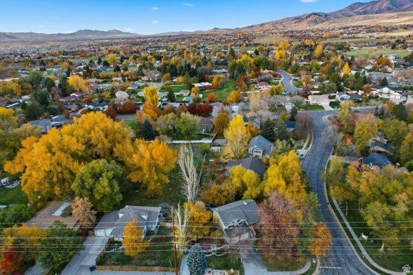 PHEASANT HOLLOW - Residential