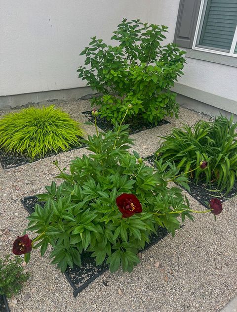 Tiny photo for 1029 N BEXLEY DR, North Salt Lake, UT 84054 (MLS # 2135110)