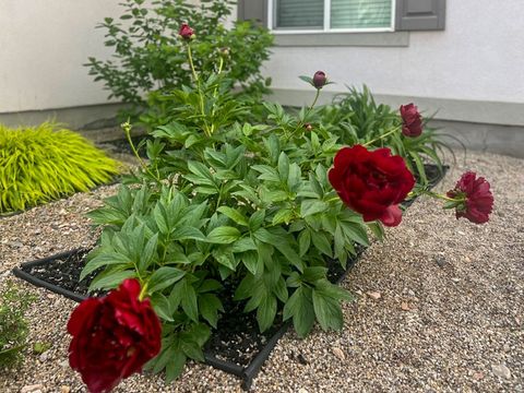 Tiny photo for 1029 N BEXLEY DR, North Salt Lake, UT 84054 (MLS # 2135110)