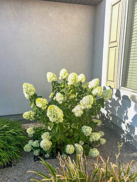 Tiny photo for 1029 N BEXLEY DR, North Salt Lake, UT 84054 (MLS # 2135110)