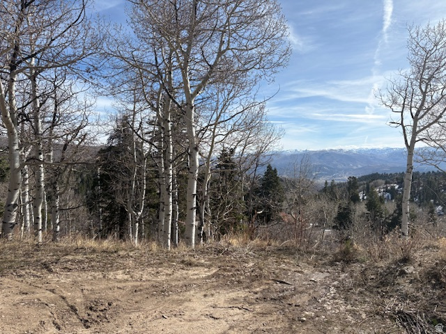 PINE MEADOW RANCH PLAT F - Land